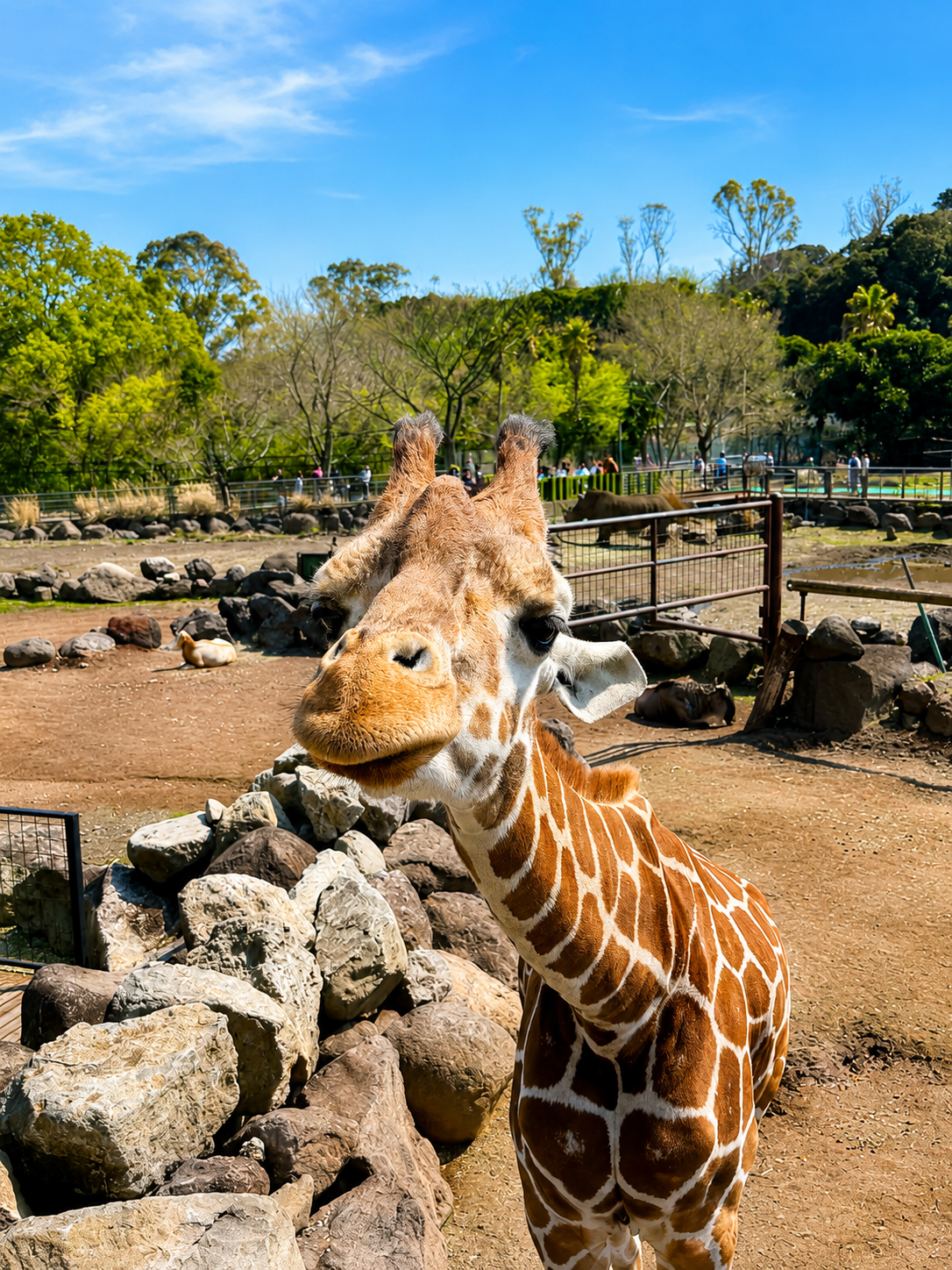静岡、迫力が過ぎる。